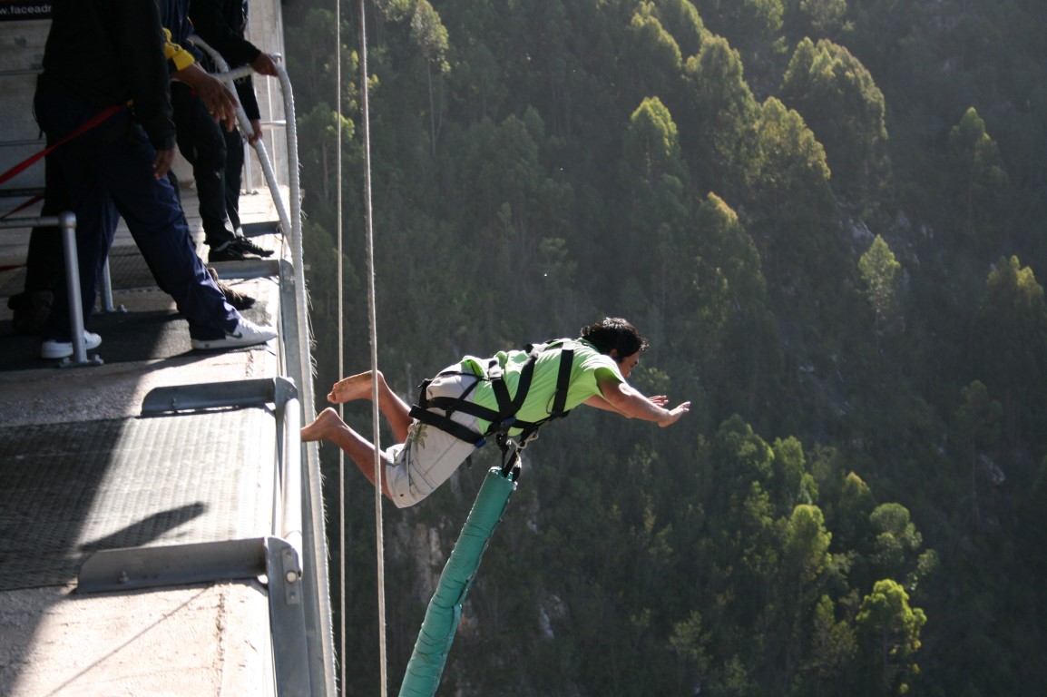 Bungee