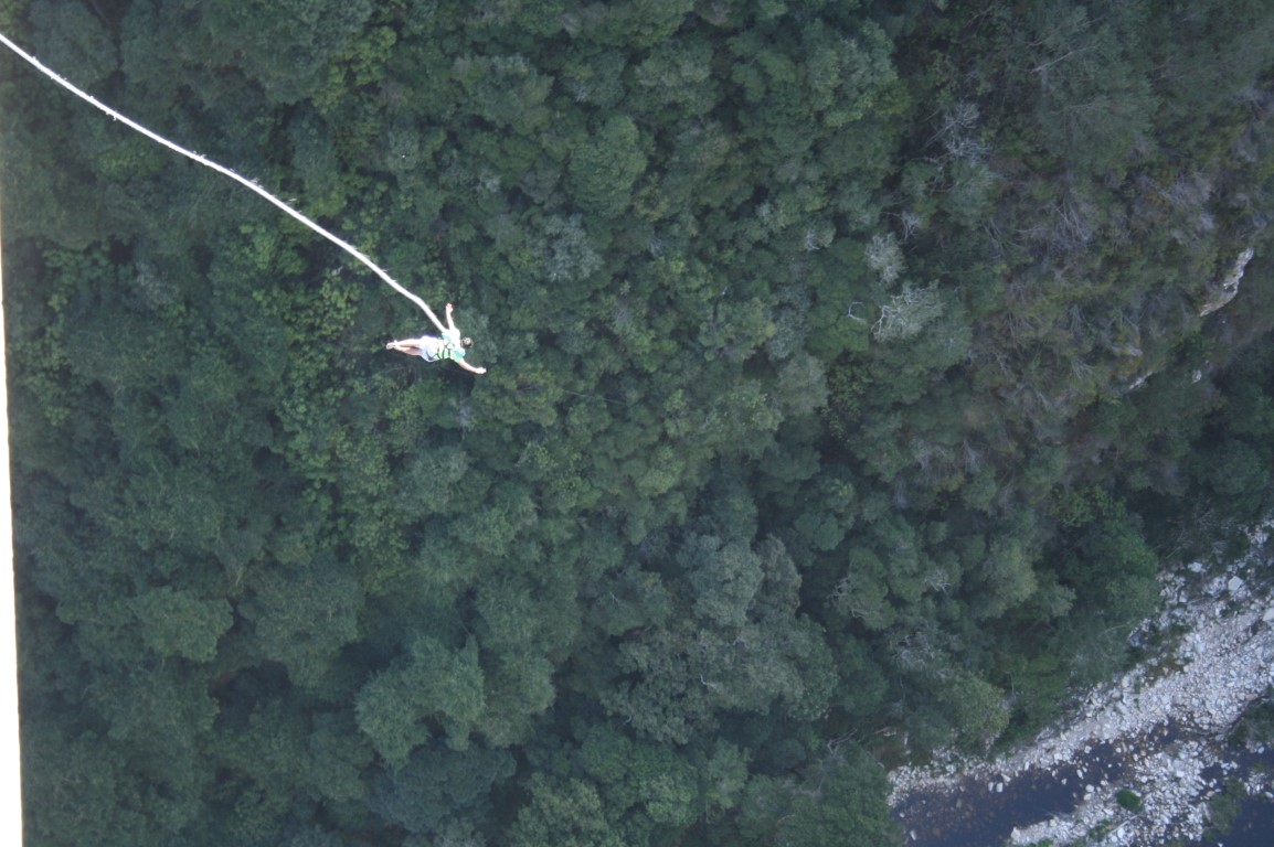 Bungee2