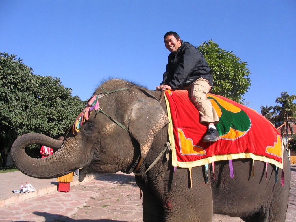 Elephant