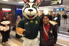 Springbok