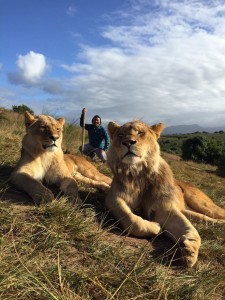 lion and virmz